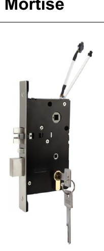 Serrure connectee TTM290 - TThotel / TTLock avec clavier a code (carte + app + code)