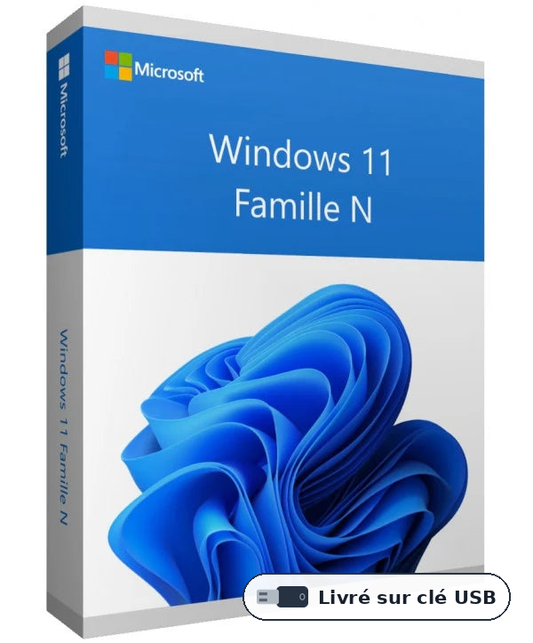 Windows 11  Entreprises USB