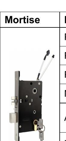 Serrure a carte RF290 (Temic 125 kHz) - carte + cle mecanique