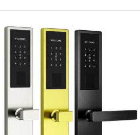 Serrure a carte et code RF889 (13.56Mhz Mifare) - TThotel / TTLock