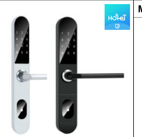 Serrure connectee TTM641 (standard europeen) - TThotel / TTLock avec clavier a code