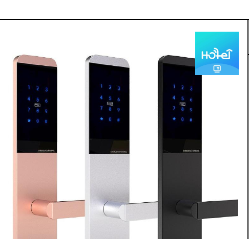 Serrure connectee TTM727 - TThotel / TTLock avec clavier a code (carte + app + code)
