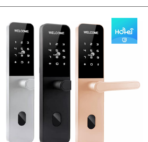 Serrure connectee TTM860 - TThotel / TTLock avec clavier a code (carte + app + code)