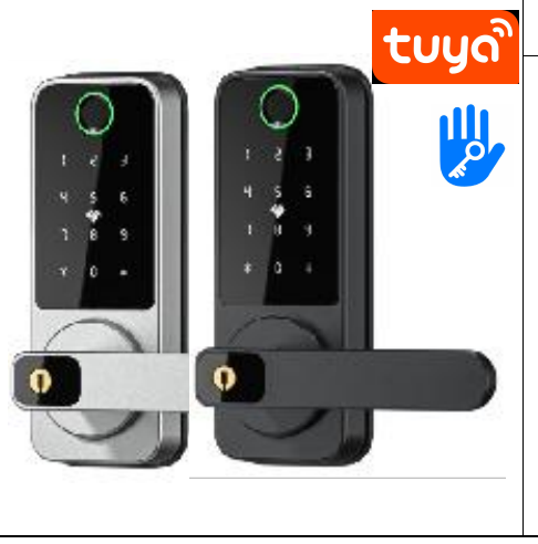 Serrure connectee ZW897 (Tuya / TTLock, empreinte digitale + code + carte)